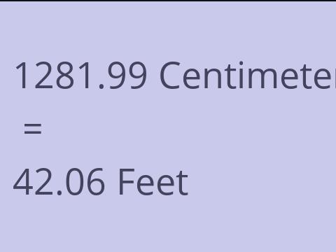 1281.99 CM TO FEET