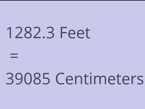 1282.3 FEET TO CM