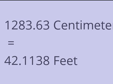 1283.63 CM TO FEET