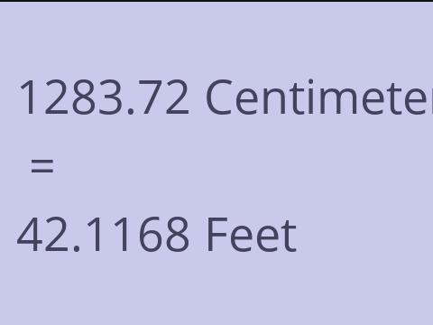 1283.72 CM TO FEET