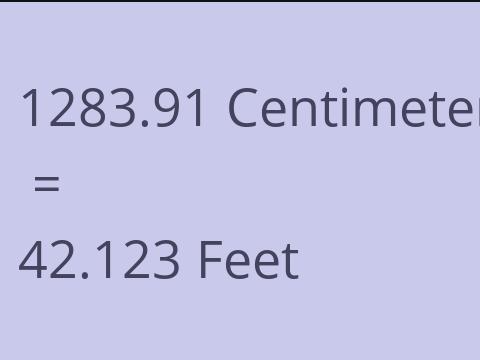 1283.91 CM TO FEET