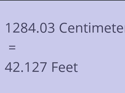 1284.03 CM TO FEET