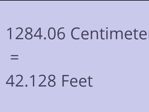 1284.06 CM TO FEET