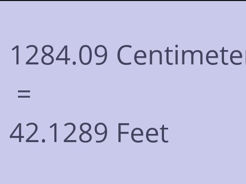 1284.09 CM TO FEET