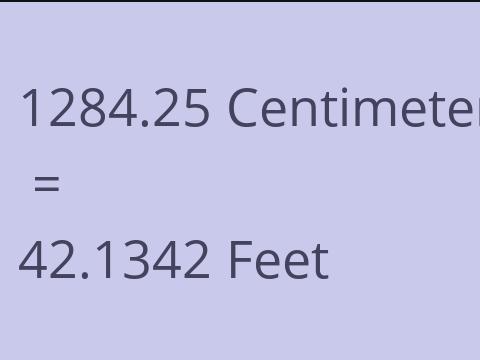 1284.25 CM TO FEET