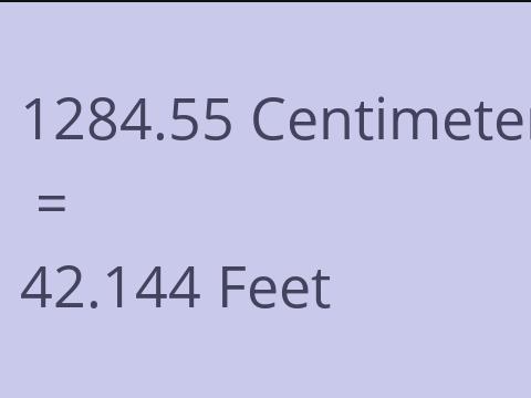 1284.55 CM TO FEET