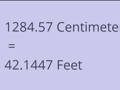 1284.57 CM TO FEET