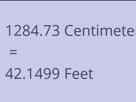 1284.73 CM TO FEET