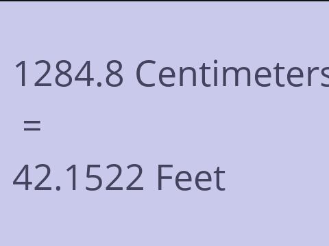 1284.8 CM TO FEET