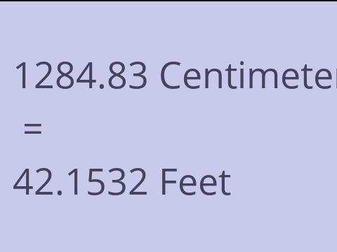 1284.83 CM TO FEET