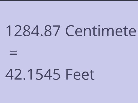 1284.87 CM TO FEET