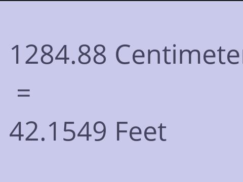 1284.88 CM TO FEET