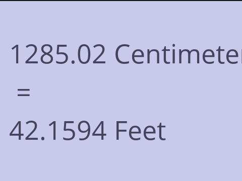 1285.02 CM TO FEET