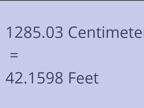 1285.03 CM TO FEET