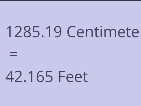 1285.19 CM TO FEET