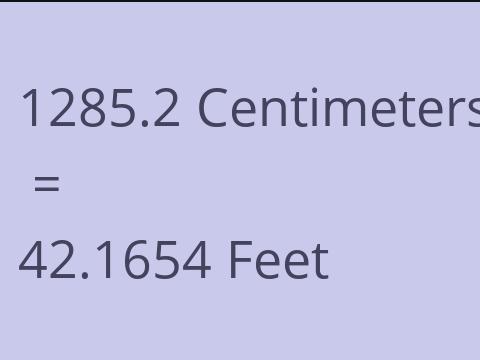 1285.2 CM TO FEET