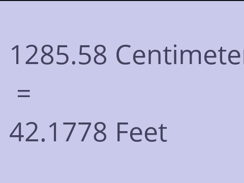 1285.58 CM TO FEET