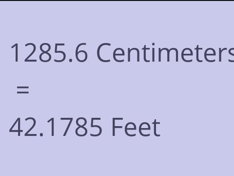 1285.6 CM TO FEET