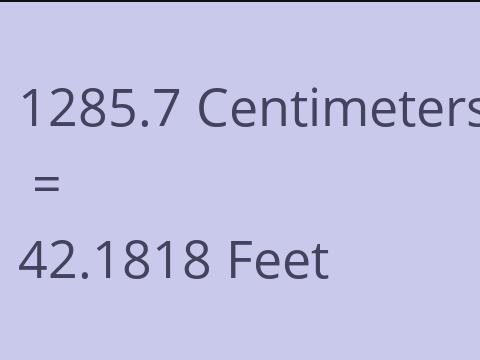 1285.7 CM TO FEET