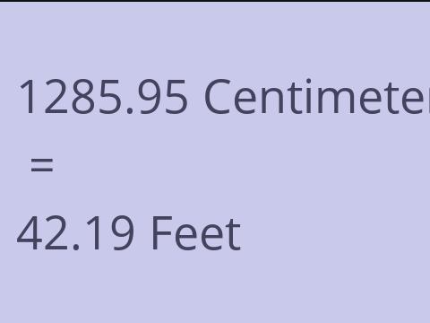 1285.95 CM TO FEET