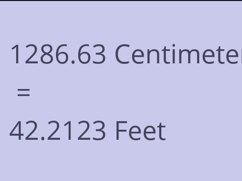 1286.63 CM TO FEET