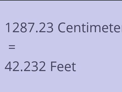 1287.23 CM TO FEET