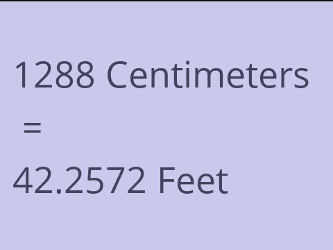 1288 CM TO FEET