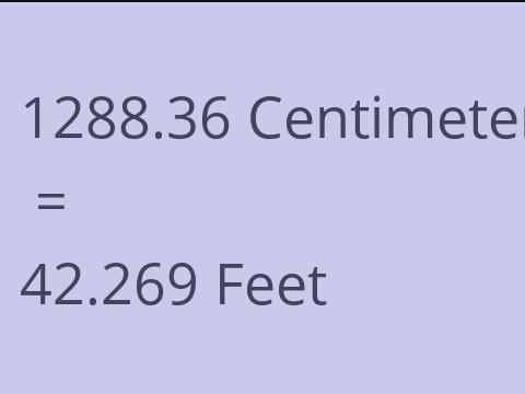 1288.36 CM TO FEET