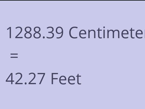 1288.39 CM TO FEET