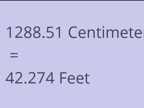 1288.51 CM TO FEET