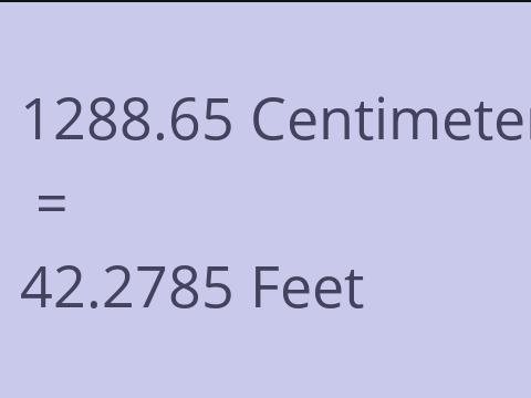 1288.65 CM TO FEET