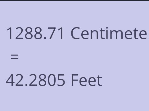 1288.71 CM TO FEET