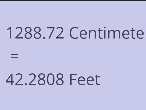 1288.72 CM TO FEET