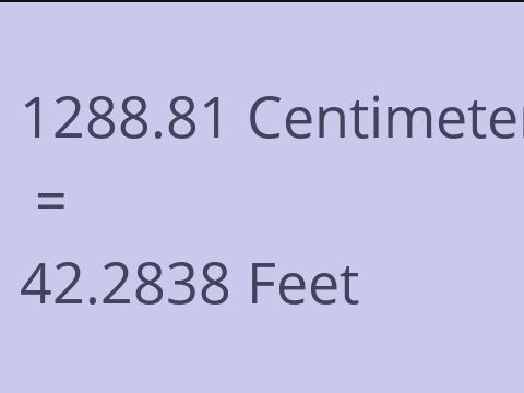 1288.81 CM TO FEET