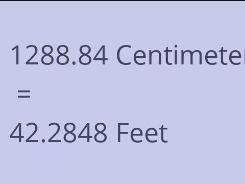 1288.84 CM TO FEET