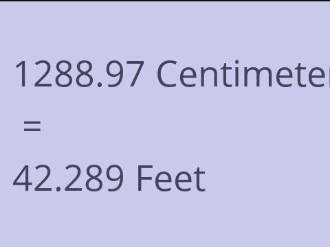 1288.97 CM TO FEET