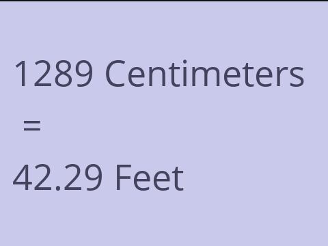 1289 CM TO FEET