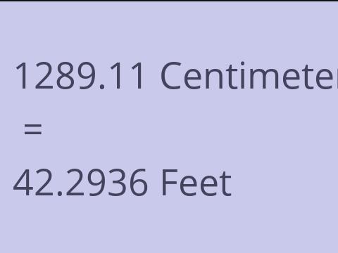 1289.11 CM TO FEET