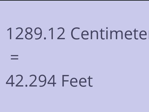 1289.12 CM TO FEET