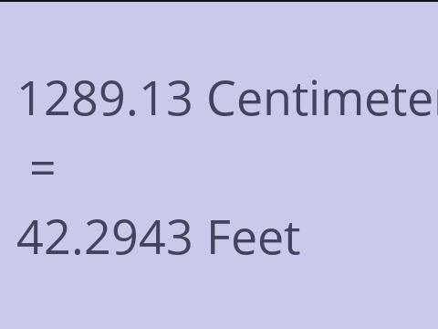 1289.13 CM TO FEET