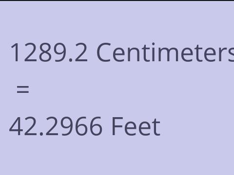 1289.2 CM TO FEET