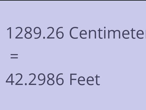 1289.26 CM TO FEET