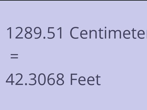 1289.51 CM TO FEET