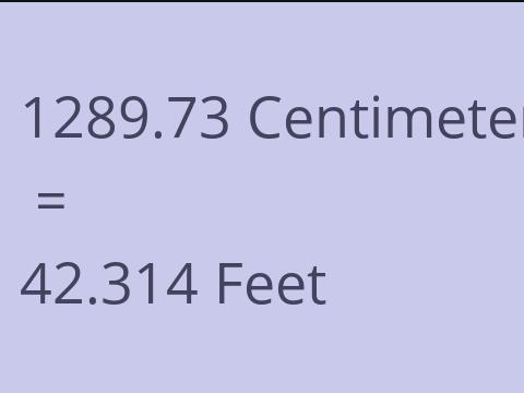 1289.73 CM TO FEET