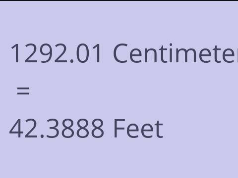 1292.01 CM TO FEET