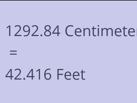 1292.84 CM TO FEET