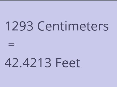 1293 CM TO FEET