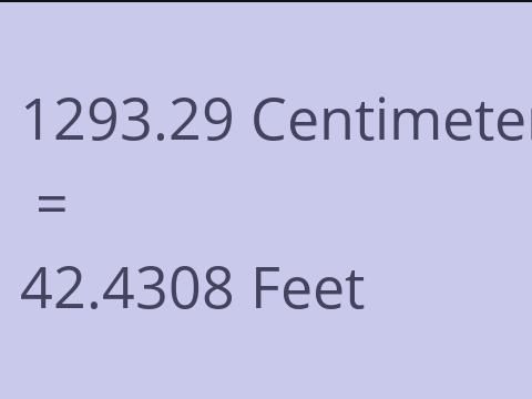 1293.29 CM TO FEET