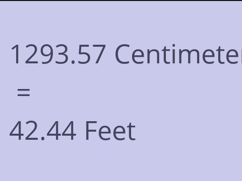 1293.57 CM TO FEET