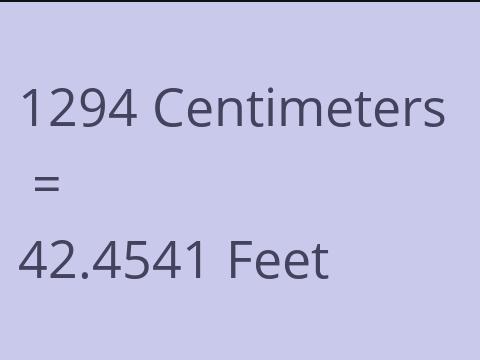 1294 CM TO FEET